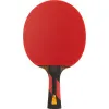 Ракетка для н/т DOUBLE FISH 7A+C, для професс.,ITTF Appr.,накл.2,1мм,+ 2 мяча V40+мм ITTF Appr за 3&nbsp;559.80 ₽ купить в Москве