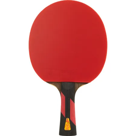 Ракетка для н/т DOUBLE FISH 7A+C, для професс.,ITTF Appr.,накл.2,1мм,+ 2 мяча V40+мм ITTF Appr за 3&nbsp;559.80 ₽ купить в Москве
