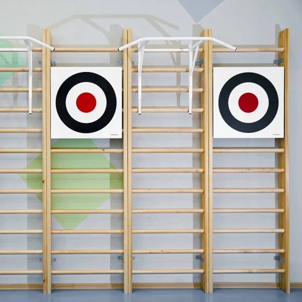 Щит для метания навесной на шведскую стенку (фанера) 700х700 ZAVODSPORTA за 8&nbsp;960 ₽ в Москве