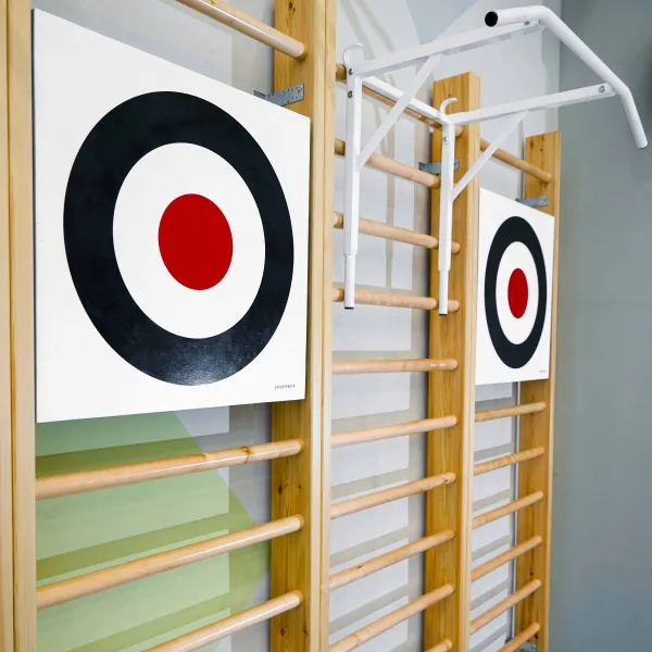 Щит для метания навесной на шведскую стенку (фанера) 700х700 ZAVODSPORTA за 8&nbsp;960 ₽ в Москве