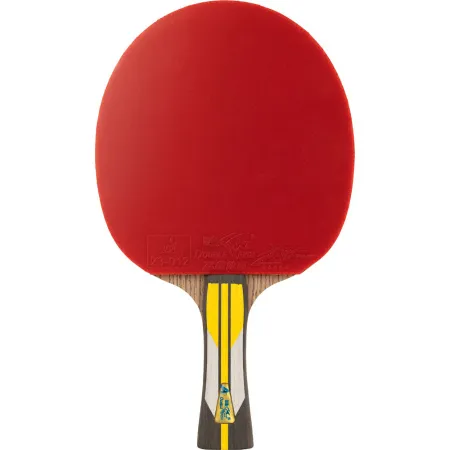 Ракетка для н/т DOUBLE FISH 6A+C, для подвин.,ITTF Appr.,накл. 2,1 мм, конич. ручка+ 2 мяча V40+мм за 3&nbsp;442.50 ₽ купить в Москве