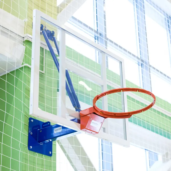 Щит баскетбольный тренировочный (монолитный поликарбонат) 900х1200 мм ZAVODSPORTA за 30&nbsp;800 ₽ в Москве