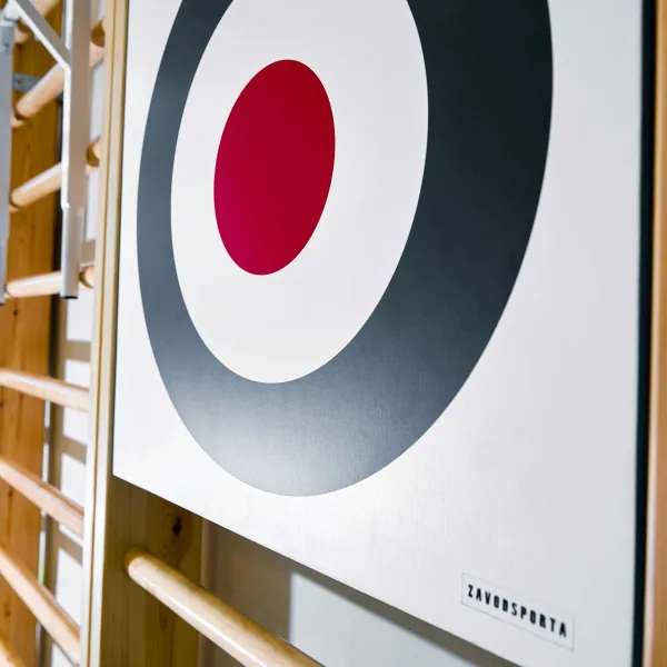 Щит для метания навесной на шведскую стенку (фанера) 700х700 ZAVODSPORTA за 8&nbsp;960 ₽ в Москве