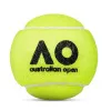 Мяч теннисный Dunlop Australian Open, 601601, уп..3 шт, одобр.ITF,фетр,нат.резина, желтый за 1&nbsp;171.30 ₽ купить в Москве