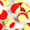 Мяч теннисный детский NS Red, 5021009, уп.12 шт, резина, шерть, нейлон, желто-красный за 2&nbsp;941 ₽ купить в Москве