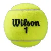 Мяч теннисный WILSON Roland Garros All Court, WRT116400, одобр.ITF, фетр, нат.резина, уп.4 шт