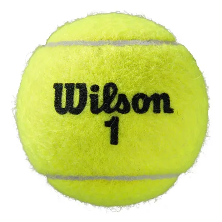 Мяч теннисный WILSON Roland Garros All Court, WRT116400, одобр.ITF, фетр, нат.резина, уп.4 шт