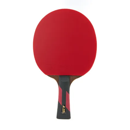 Ракетка для н/т DOUBLE FISH 7A+C, для професс.,ITTF Appr.,накл.2,1мм,+ 2 мяча V40+мм ITTF Appr за 3&nbsp;559.80 ₽ купить в Москве