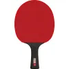 Ракетка для н/т DOUBLE FISH Black Carbon King Racket 5*****, для професс.,ITTF Appr.,накл.2,1,мм за 6&nbsp;434.50 ₽ купить в Москве
