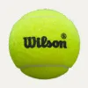 Мяч для падела Wilson Premier Padel Speed, WR8908501001, уп.3 шт, FIP Appr.,сукно, нат.резина,желтый за 1&nbsp;235.90 ₽ купить в Москве