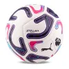 Мяч футб. PUMA Stellar Goal PL Reactivity, 08519301, р.5, 16п, ТПУ, маш. сш, бело-фиолетово-розовый за 6&nbsp;291.70 ₽ купить в Москве